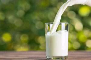 Proteine del siero del latte quando assumerle: combattono il sovrallenamento