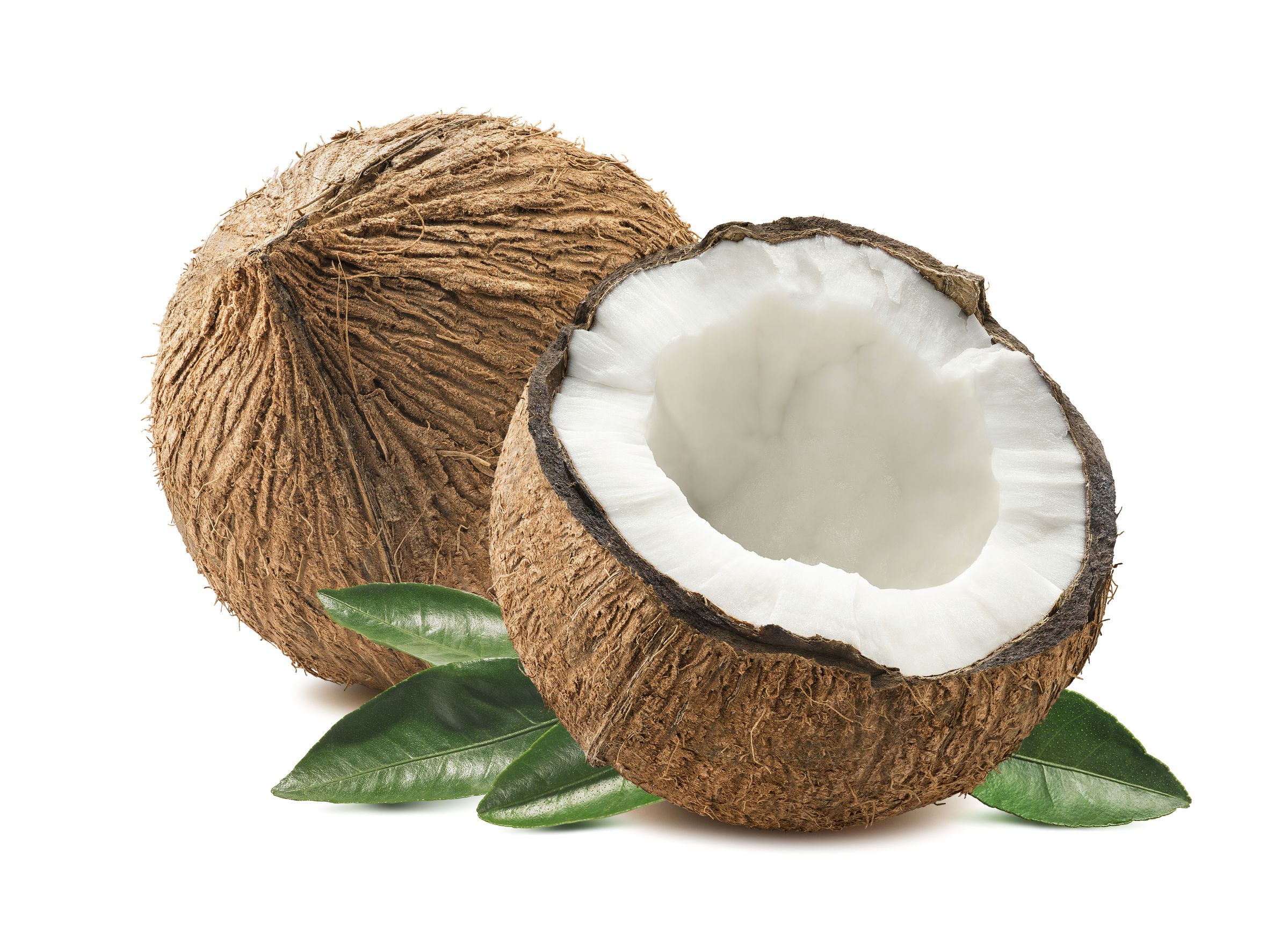 Acqua noci di cocco proprietà: benefici per la salute